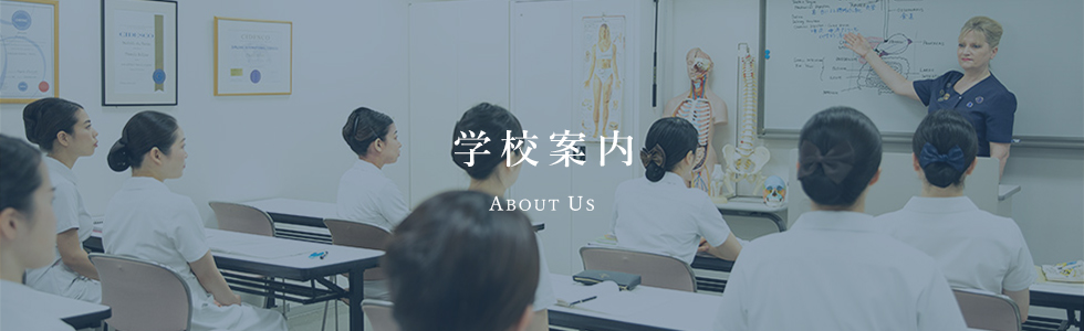 学校案内